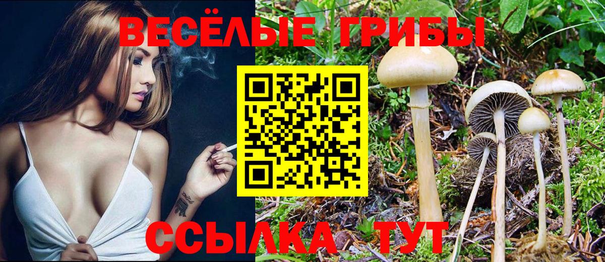 купить   Галлюциногенные грибы мицелий  Вход с VPN  Елизово 