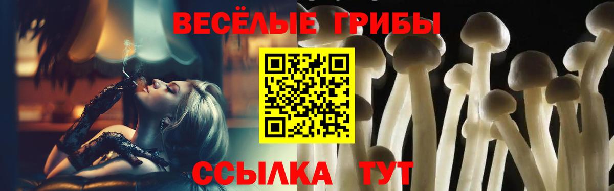 Галлюциногенные грибы GOLDEN TEACHER Елизово